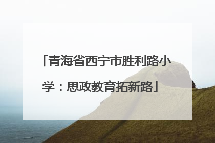青海省西宁市胜利路小学：思政教育拓新路