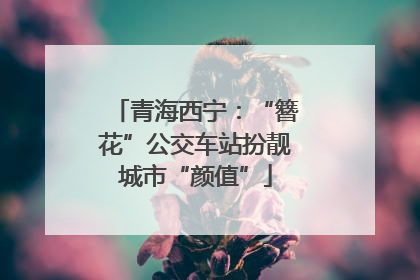青海西宁：“簪花”公交车站扮靓城市“颜值”