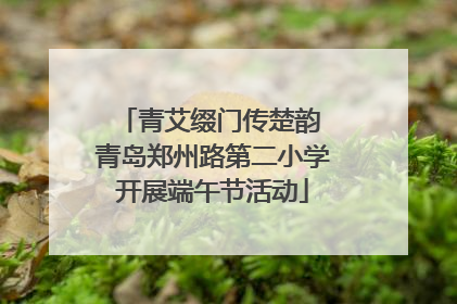 青艾缀门传楚韵 青岛郑州路第二小学开展端午节活动
