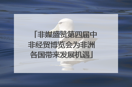 非媒盛赞第四届中非经贸博览会为非洲各国带来发展机遇