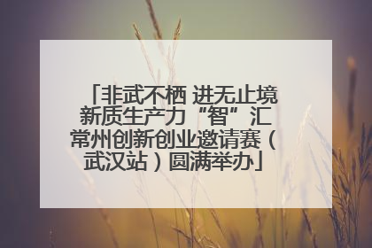 非武不栖 进无止境 新质生产力“智”汇常州创新创业邀请赛（武汉站）圆满举办