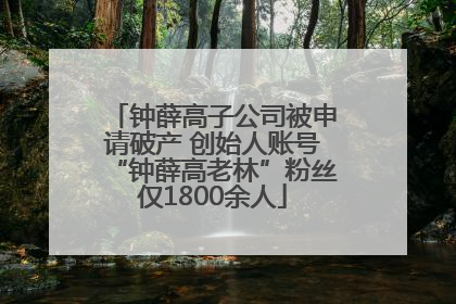 钟薛高子公司被申请破产 创始人账号“钟薛高老林”粉丝仅1800余人