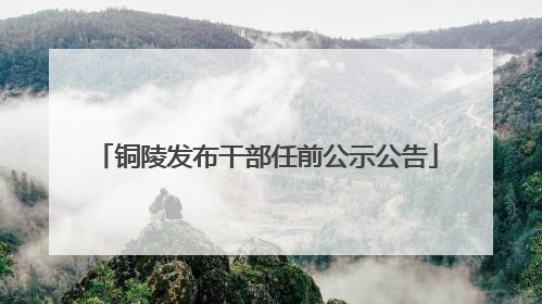 铜陵发布干部任前公示公告