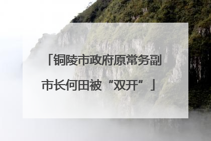 铜陵市政府原常务副市长何田被“双开”