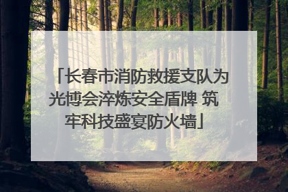 长春市消防救援支队为光博会淬炼安全盾牌 筑牢科技盛宴防火墙