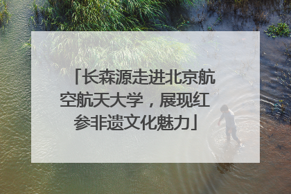 长森源走进北京航空航天大学，展现红参非遗文化魅力