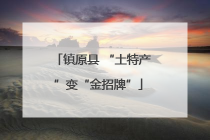 镇原县 “土特产”变“金招牌”