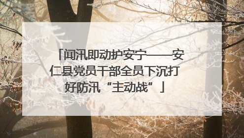 闻汛即动护安宁——安仁县党员干部全员下沉打好防汛“主动战”