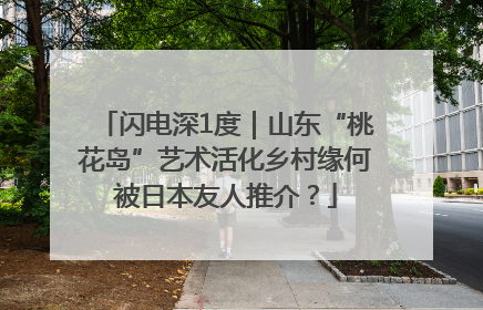 闪电深1度｜山东“桃花岛”艺术活化乡村缘何被日本友人推介？