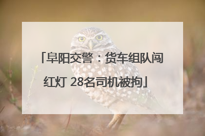 阜阳交警：货车组队闯红灯 28名司机被拘