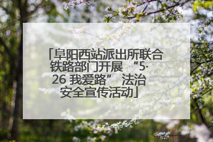 阜阳西站派出所联合铁路部门开展 “5·26 我爱路” 法治安全宣传活动