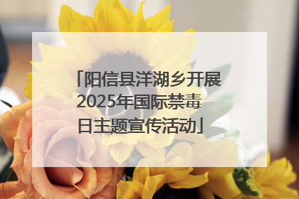 阳信县洋湖乡开展2025年国际禁毒日主题宣传活动