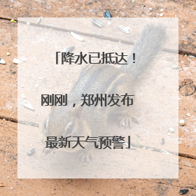 降水已抵达！刚刚，郑州发布最新天气预警