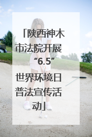 陕西神木市法院开展“6.5”世界环境日普法宣传活动