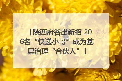 陕西府谷出新招 206名“快递小哥”成为基层治理“合伙人”