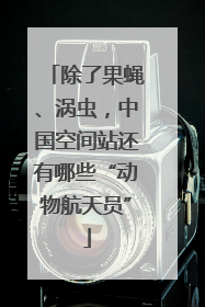 除了果蝇、涡虫，中国空间站还有哪些“动物航天员”