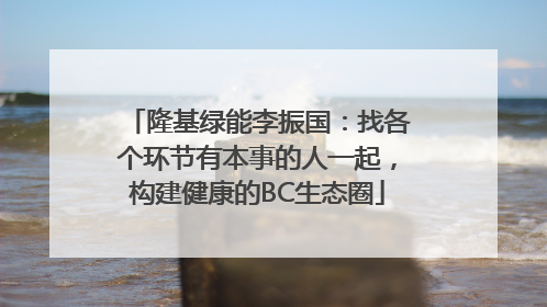 隆基绿能李振国：找各个环节有本事的人一起，构建健康的BC生态圈