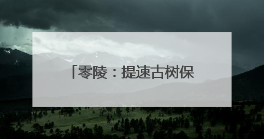 零陵：提速古树保护 留住绿色记忆