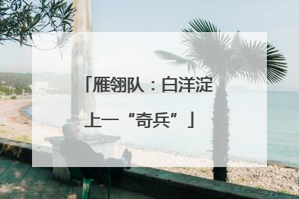 雁翎队：白洋淀上一“奇兵”
