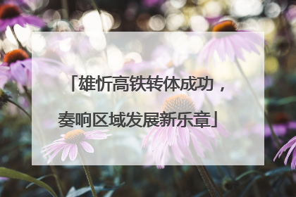 雄忻高铁转体成功，奏响区域发展新乐章