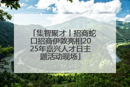 集智聚才丨招商蛇口招商伊敦亮相2025年嘉兴人才日主题活动现场