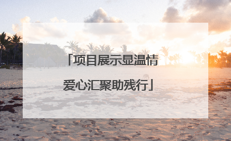 项目展示显温情 爱心汇聚助残行