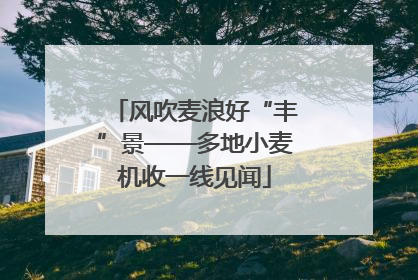 风吹麦浪好“丰”景——多地小麦机收一线见闻