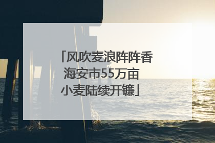 风吹麦浪阵阵香 海安市55万亩小麦陆续开镰