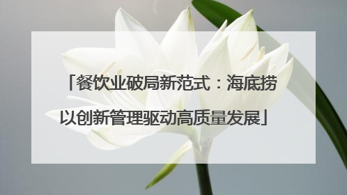 餐饮业破局新范式：海底捞以创新管理驱动高质量发展