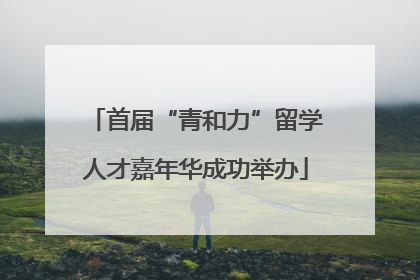 首届“青和力”留学人才嘉年华成功举办