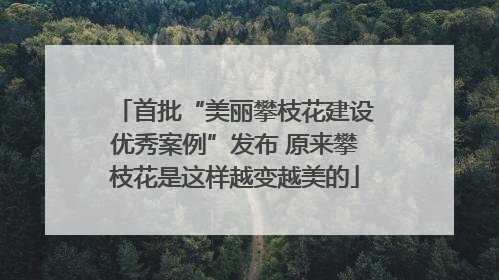 首批“美丽攀枝花建设优秀案例”发布 原来攀枝花是这样越变越美的