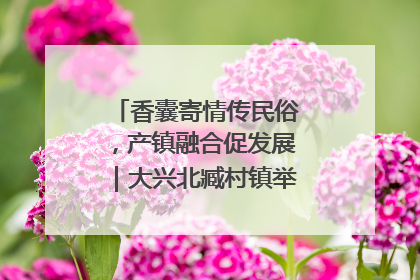 香囊寄情传民俗，产镇融合促发展｜大兴北臧村镇举办端午主题活动