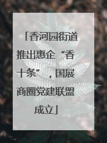 香河园街道推出惠企“香十条”，国展商圈党建联盟成立