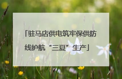 驻马店供电筑牢保供防线护航“三夏”生产