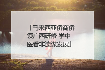 马来西亚侨商侨领广西研修 学中医看非遗谋发展