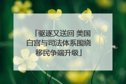 驱逐又送回 美国白宫与司法体系围绕移民争端升级