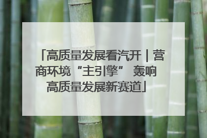 高质量发展看汽开｜营商环境“主引擎” 轰响高质量发展新赛道