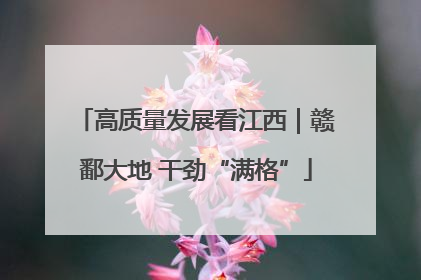 高质量发展看江西｜赣鄱大地 干劲“满格”