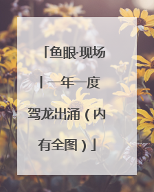 鱼眼·现场丨一年一度 驾龙出涌（内有全图）