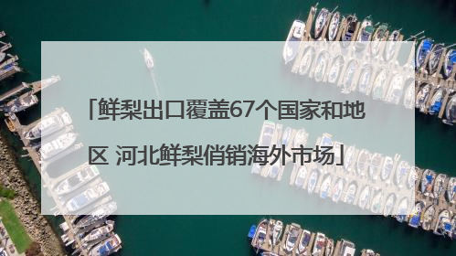 鲜梨出口覆盖67个国家和地区 河北鲜梨俏销海外市场
