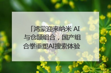 鸿蒙迎来纳米 AI 与仓颉组合，国产组合拳重塑AI搜索体验｜新经济观察