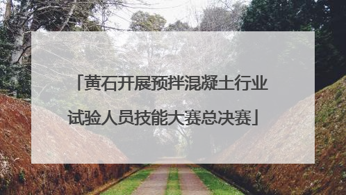 黄石开展预拌混凝土行业试验人员技能大赛总决赛