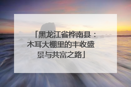 黑龙江省桦南县：木耳大棚里的丰收盛景与共富之路