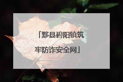 黟县碧阳镇筑牢防诈安全网