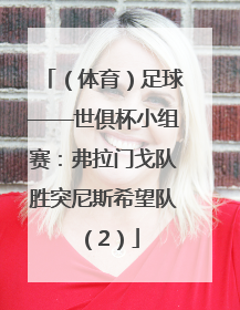 （体育）足球——世俱杯小组赛：弗拉门戈队胜突尼斯希望队（2）