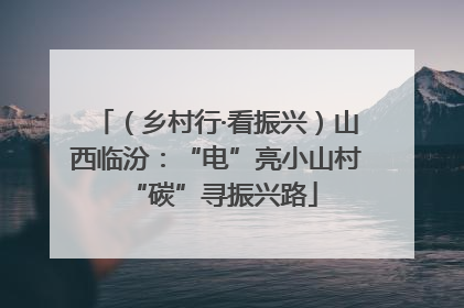 （乡村行·看振兴）山西临汾：“电”亮小山村 “碳”寻振兴路