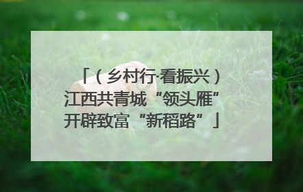 （乡村行·看振兴）江西共青城“领头雁”开辟致富“新稻路”