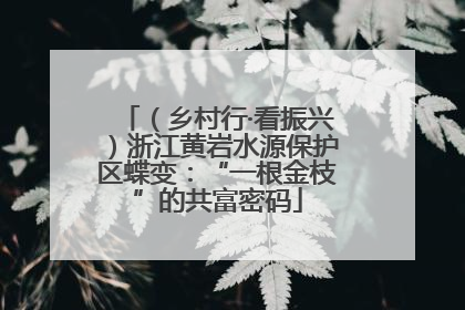 （乡村行·看振兴）浙江黄岩水源保护区蝶变：“一根金枝”的共富密码