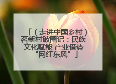 （走进中国乡村）茗新村破圈记：民族文化赋能 产业借势 “网红东风”