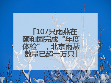 107只雨燕在颐和园完成“年度体检”，北京雨燕数量已超一万只